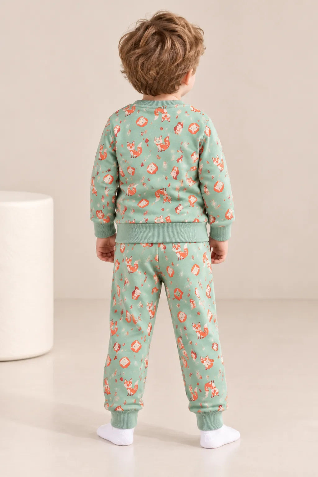 Boys Wild Child Fox Print Sweatshirt & Jogger Co-ord Set-WIN23N