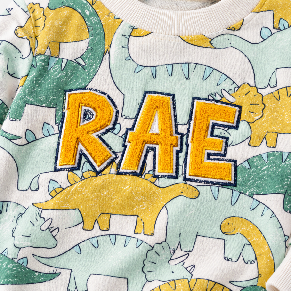 Boys Dinosaur Print “RAE” Sweatshirt & Jogger Co-ord Set-WIN25N