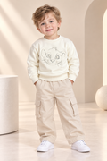 Boys Lion Graphic Printed Crew Neck Sweatshirt-WIN63J