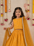 Bella Moda Girls Embellished Sleeveless Crop Top with Lehenga Skirt Ethnic Co-Ord Set- JUETH792AA