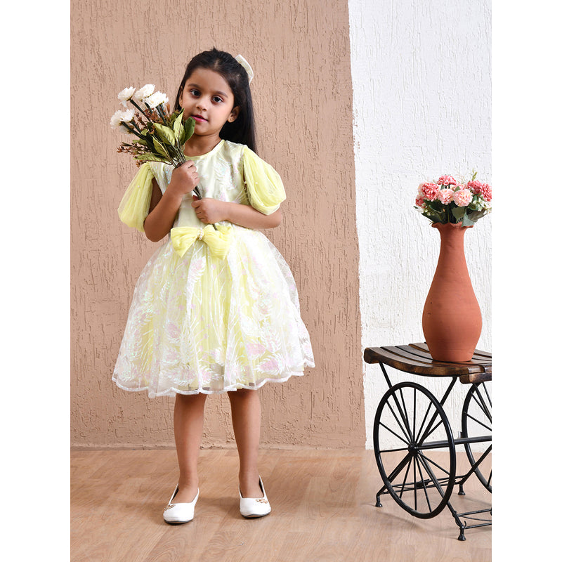 Girls Yellow Floral Tulle Party Dress- PW406X